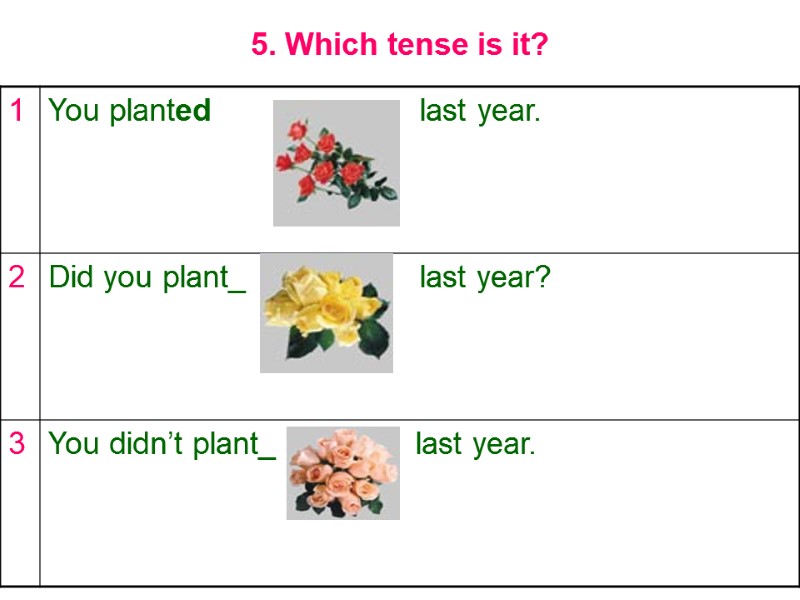 5. Which tense is it?